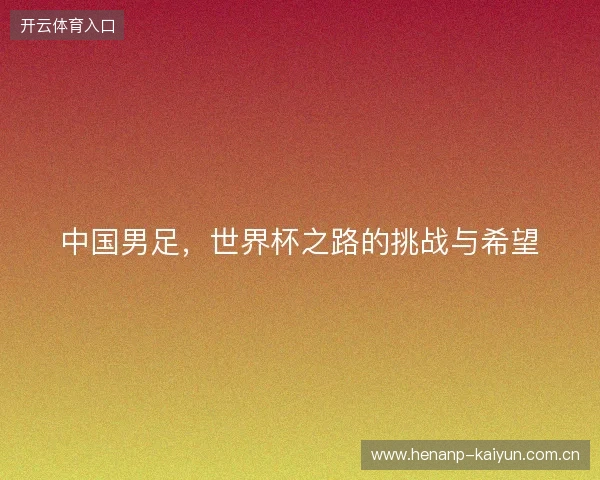 中国男足，世界杯之路的挑战与希望